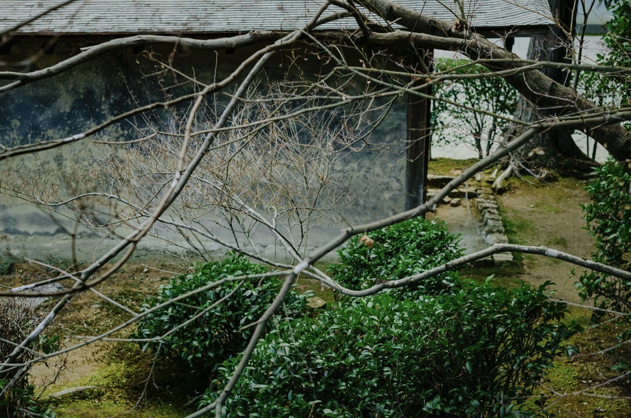 Превью Nara 2024